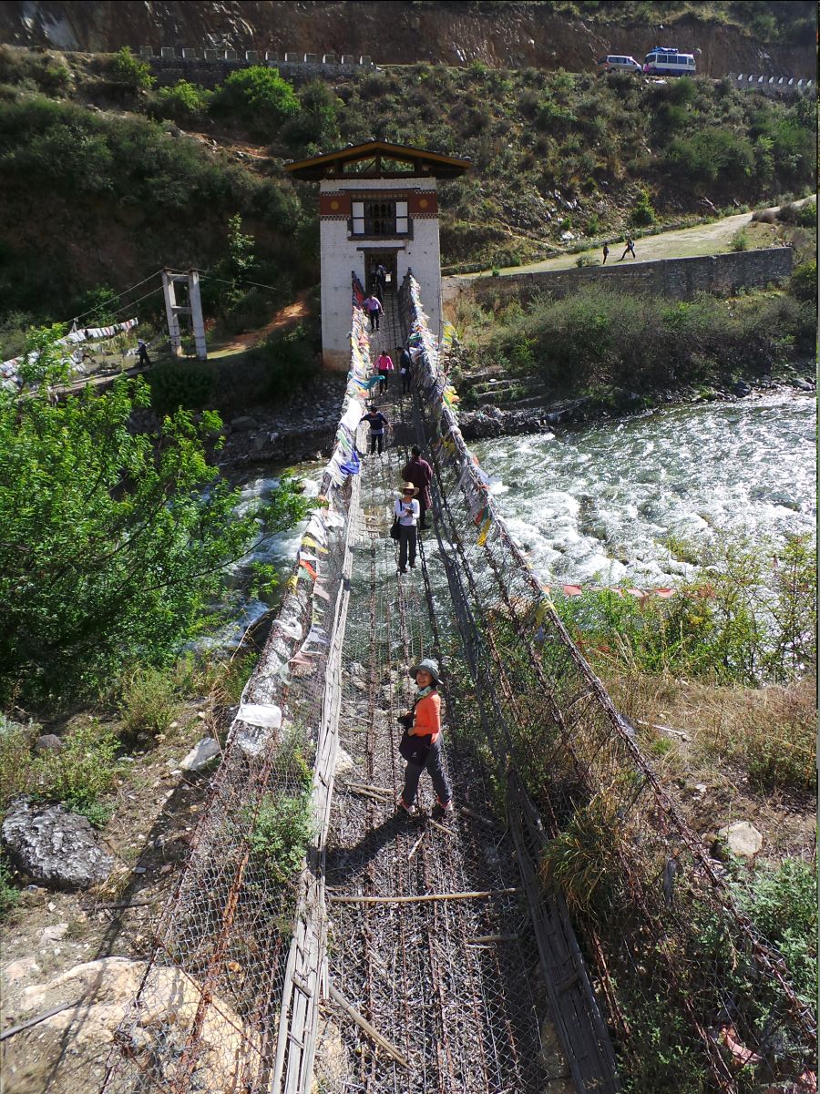 Dual Bridges13
